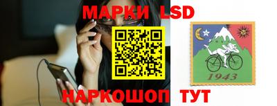 крисы Камышлов