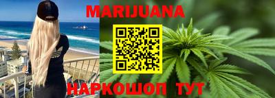 крисы Камышлов
