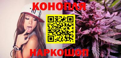 крисы Камышлов