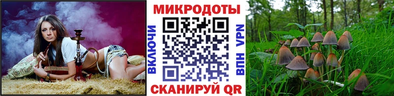 где купить наркоту  МЕГА рабочий сайт  Галлюциногенные грибы Psilocybe  Нягань 