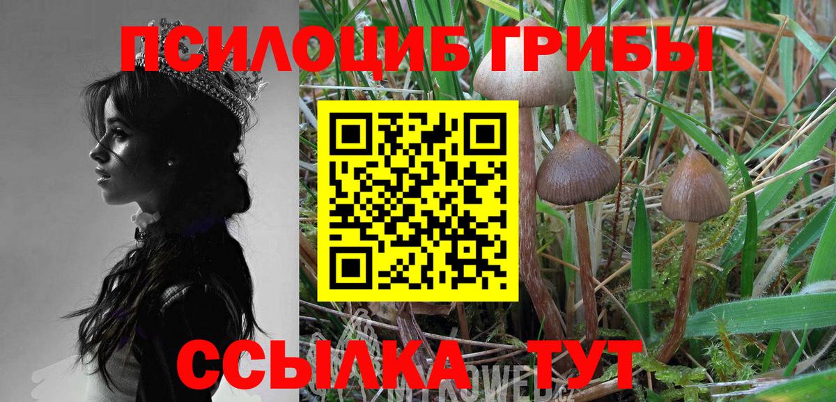 Галлюциногенные грибы Psilocybe Нягань