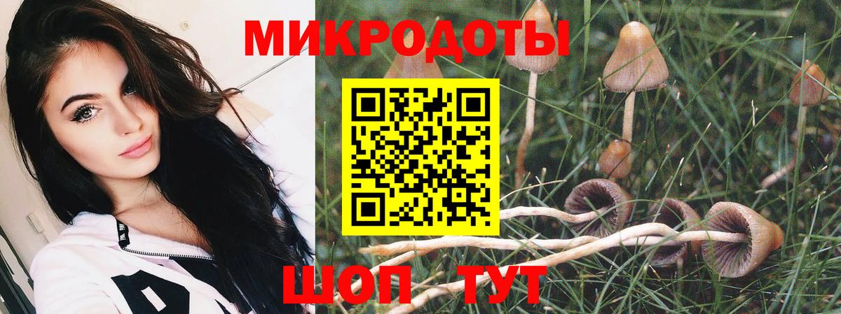 Галлюциногенные грибы мухоморы  Галлюциногенные грибы ЛСД  Нягань  Вход с VPN 